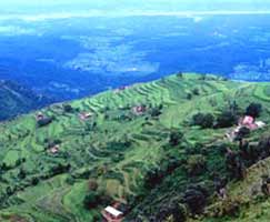 Ranikhet Vacation Package