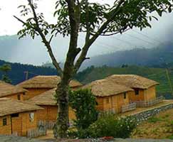 Ranikhet Tourism Honeymoon