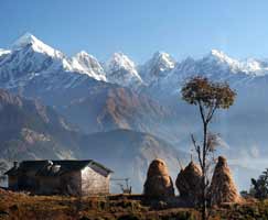 Ranikhet Honeymoon Tour