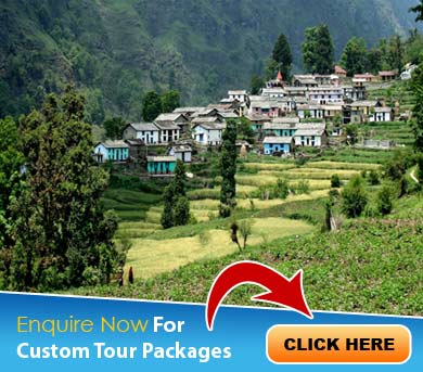 Ranikhet Tour Packages