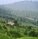 Ranikhet Tour Packages